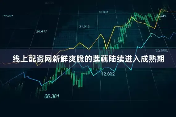 线上配资网新鲜爽脆的莲藕陆续进入成熟期