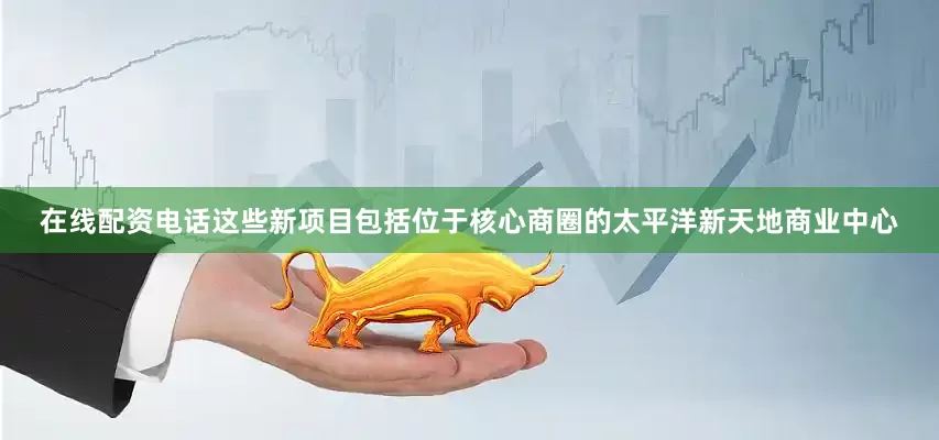 在线配资电话这些新项目包括位于核心商圈的太平洋新天地商业中心