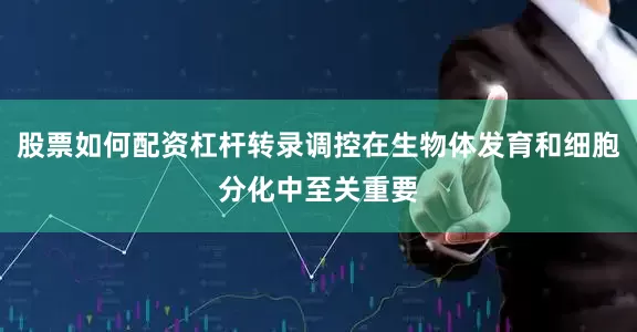 股票如何配资杠杆转录调控在生物体发育和细胞分化中至关重要