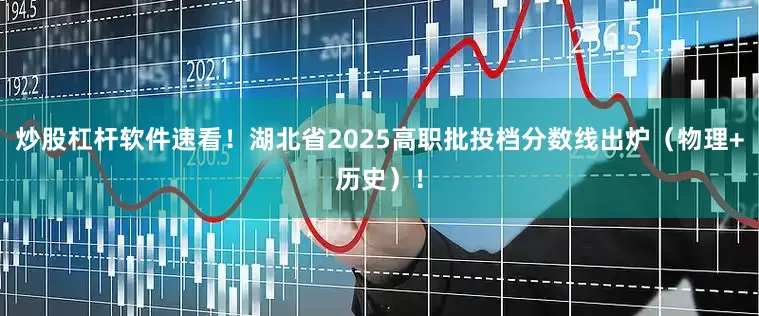 炒股杠杆软件速看！湖北省2025高职批投档分数线出炉（物理+历史）！