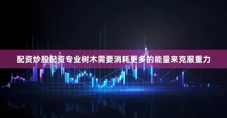 配资炒股配资专业树木需要消耗更多的能量来克服重力